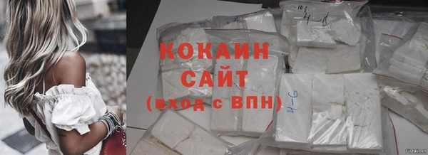 таблы Гусев
