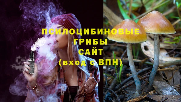 МДПВ Гусь-Хрустальный