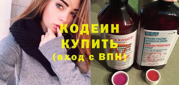 таблы Гусев
