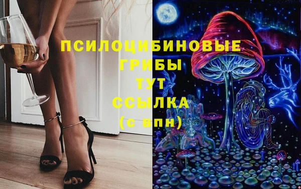 таблы Гусев